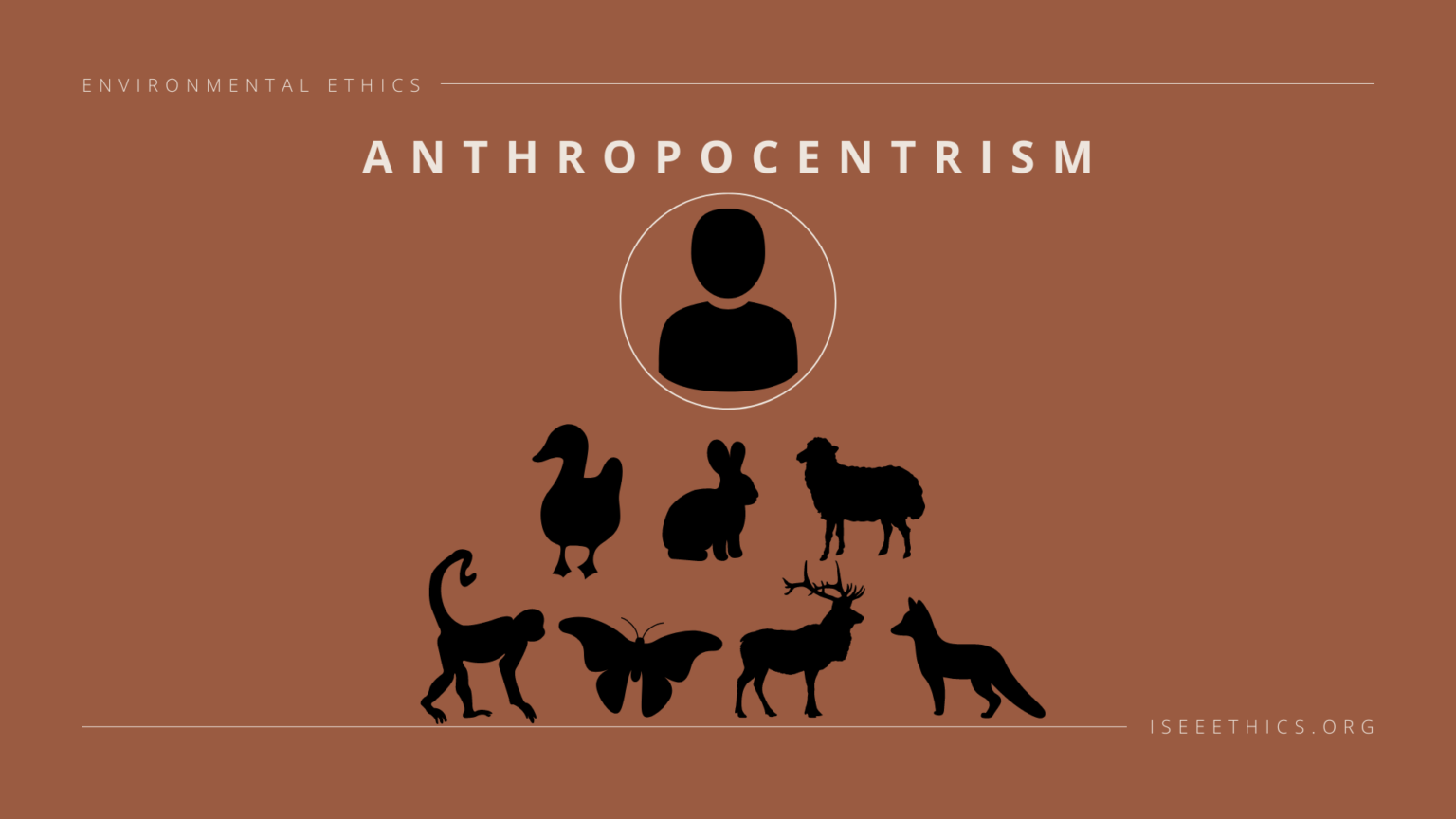 What Is Anthropocentrism in Environmental Ethics? - Environmental Ethics